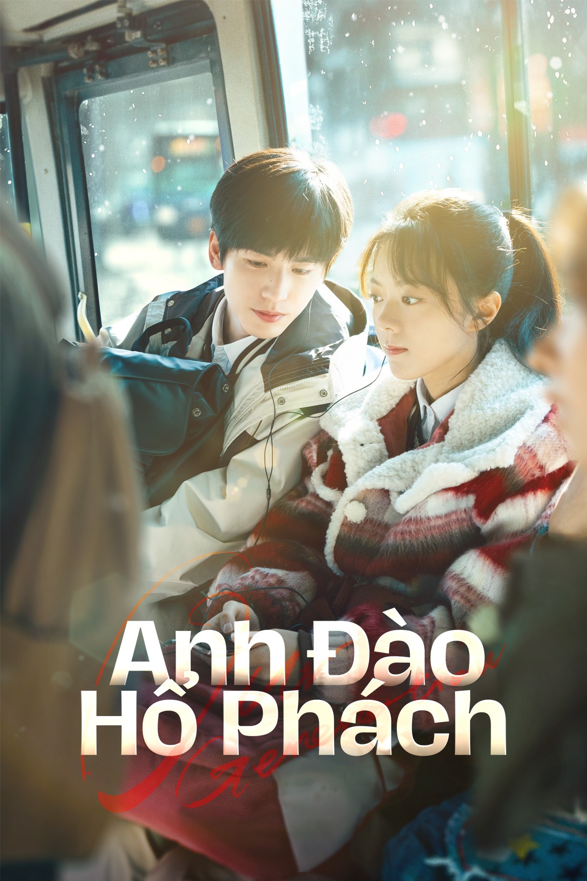 Xem phim Anh Đào Hổ Phách