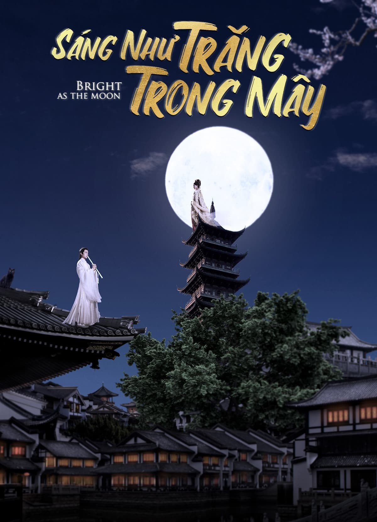 Xem phim Sáng Như Trăng Trong Mây